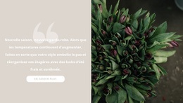 Tulipes Bordeaux Foncé - HTML Website Maker