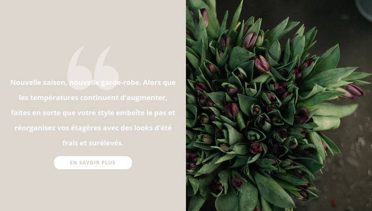 Tulipes bordeaux foncé Modèle HTML