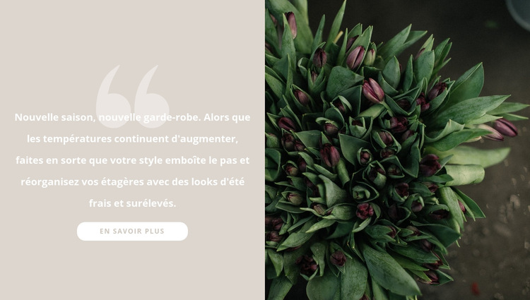 Tulipes bordeaux foncé Modèle de site Web