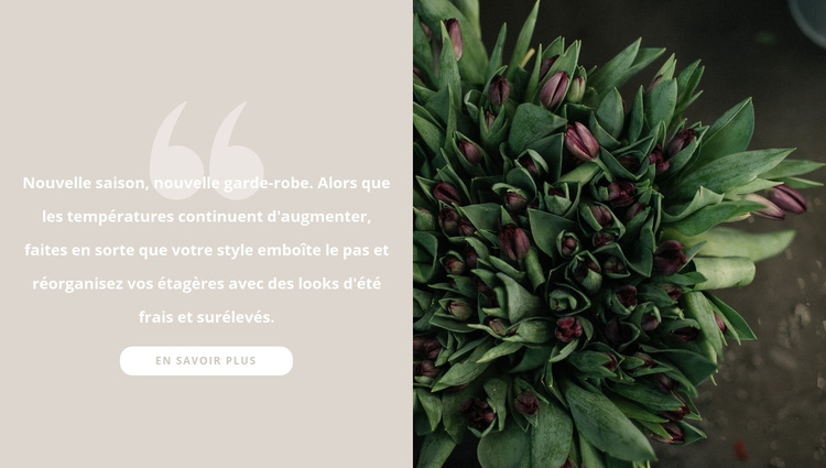 Tulipes bordeaux foncé Thème WordPress