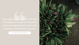 Tulipani Bordeaux Scuro - HTML Website Maker