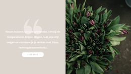 Donkere Bordeauxrode Tulpen - HTML-Sjabloon Downloaden
