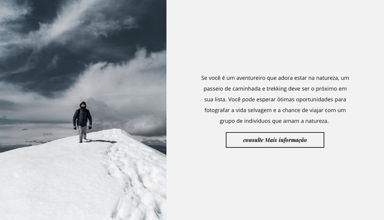 Em picos nevados Template CSS