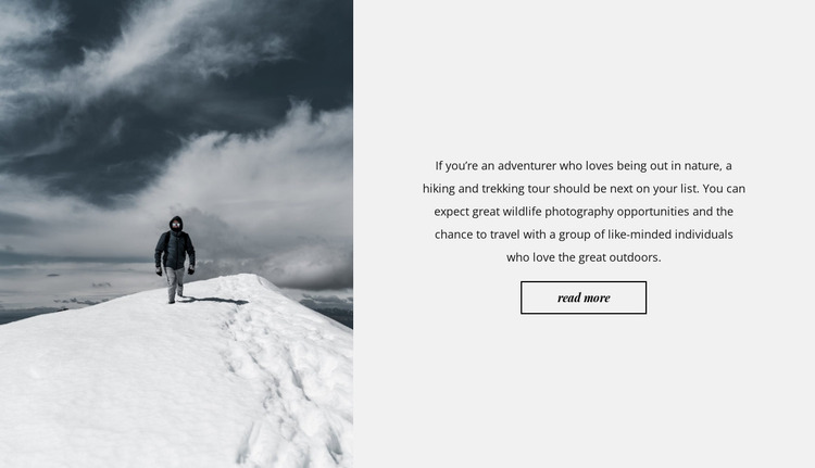 On snowy peaks Website Mockup