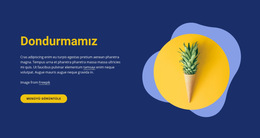 Dondurma Dükkanımız - En Iyi Web Sitesi Şablonu