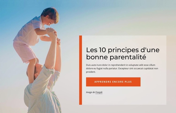 Principes d'une bonne parentalité Maquette de site Web