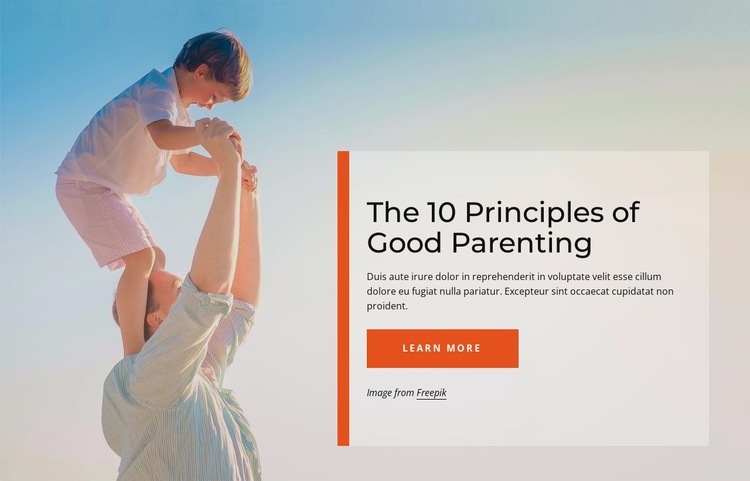 Ptinciples of good parenting Homepage Design