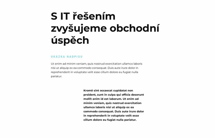 Text o IT Šablona HTML