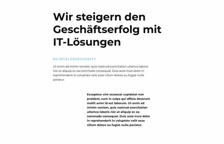 Text über IT Landing Page