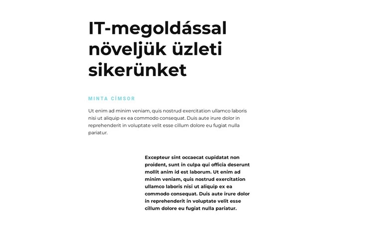 Szöveg az informatikáról CSS sablon