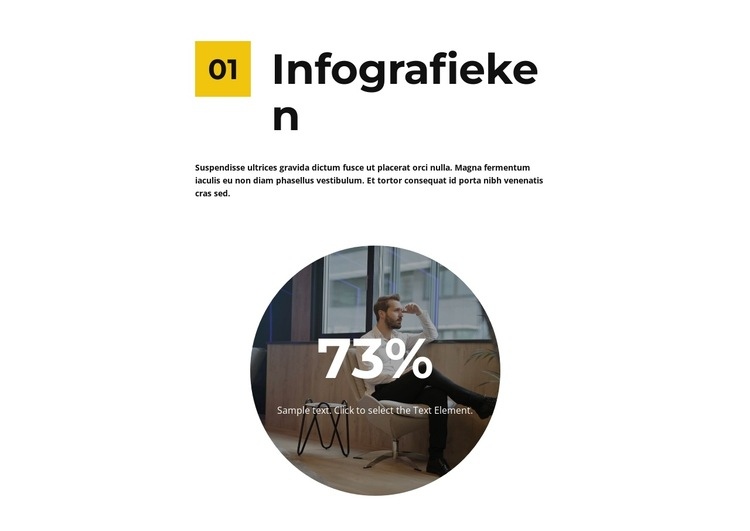 Infographics in toonbank Website ontwerp
