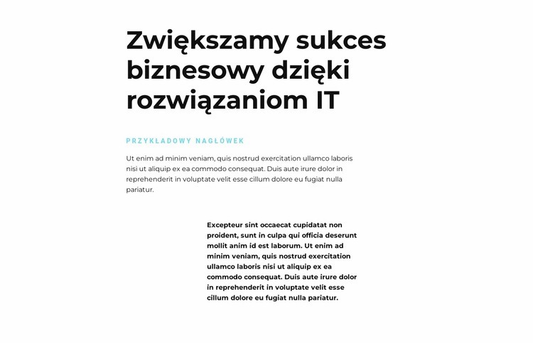 Tekst o IT Makieta strony internetowej