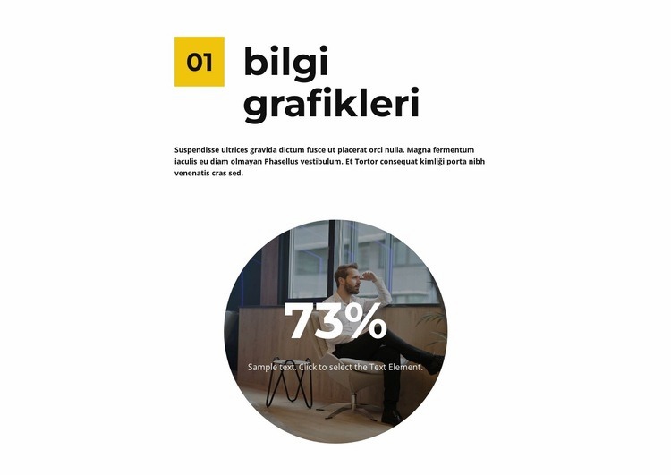 Sayaçtaki bilgi grafikleri Açılış sayfası