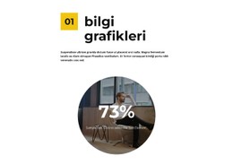 Sayaçtaki Bilgi Grafikleri Ücretsiz CSS Şablonu