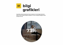 Sayaçtaki Bilgi Grafikleri Için Duyarlı HTML5