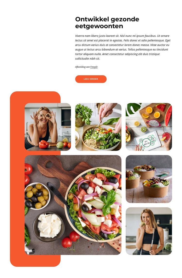 Richtlijnen voor gezond eten Html Website Builder