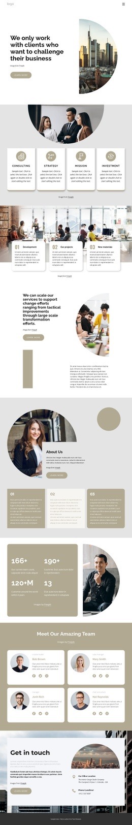 Executive Team Web Page Design