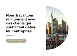 Cabinet De Conseil En Développement - Modèle De Site Web Professionnel Premium