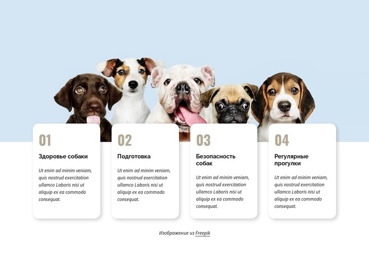 Полное руководство по домашним животным CSS шаблон