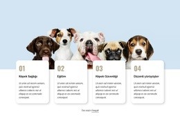 Nihai Evcil Hayvan Rehberi Için Çarpıcı HTML5 Şablonu