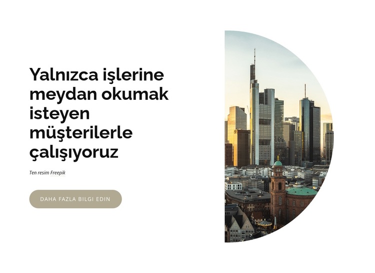 geliştirme danışmanlık firması WordPress Teması