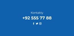 Telefon A Sociální Sítě Živé Demo