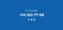 Teléfono Y Redes Sociales - Tema Profesional De WordPress