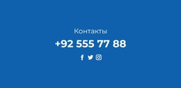 Телефон И Социальные Сети – Профессиональная Тема WordPress