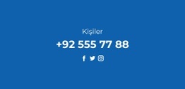 Telefon Ve Sosyal Ağlar - Web Sitesi Tasarımı Ilhamı