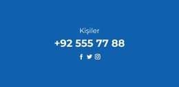 Telefon Ve Sosyal Ağlar - Profesyonel WordPress Teması