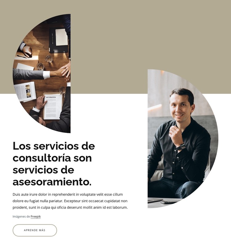 Servicios de consultoría y asesoramiento Plantilla CSS