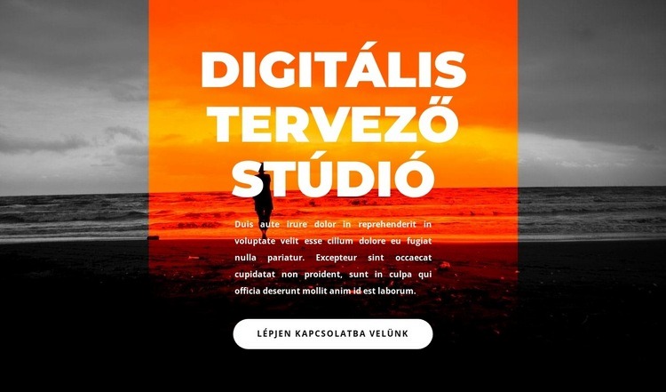 Új digitális stúdió Weboldal tervezés