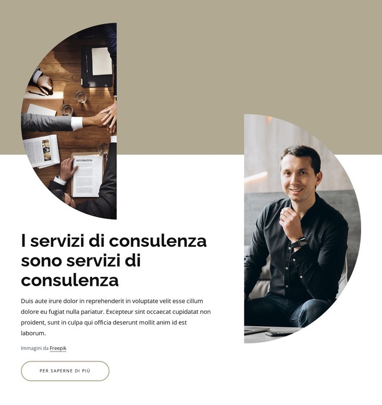 Servizi di consulenza e consulenza Modelli di Website Builder