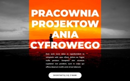 Nowe Studio Cyfrowe - Funkcjonalność Motywu WordPress