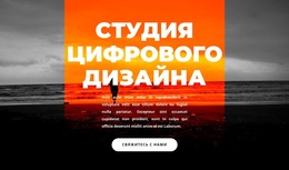 Новая Цифровая Студия — Функциональность Темы WordPress