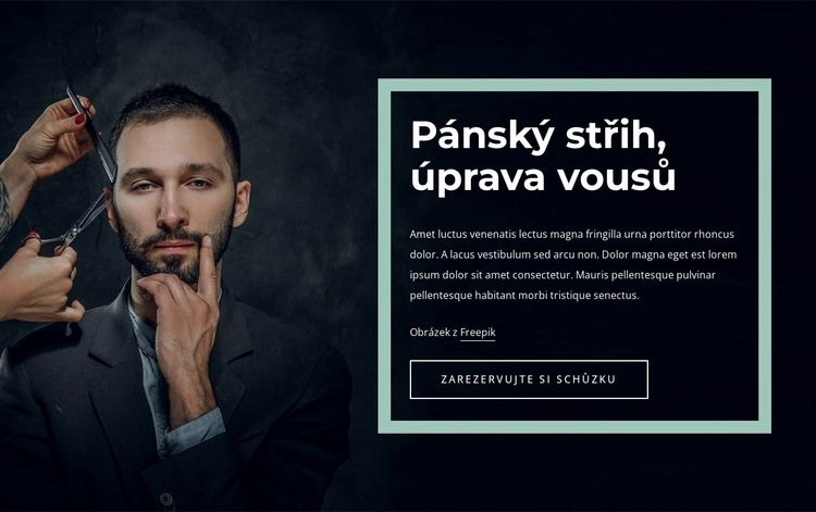 Skvělé účesy pro muže Šablona CSS