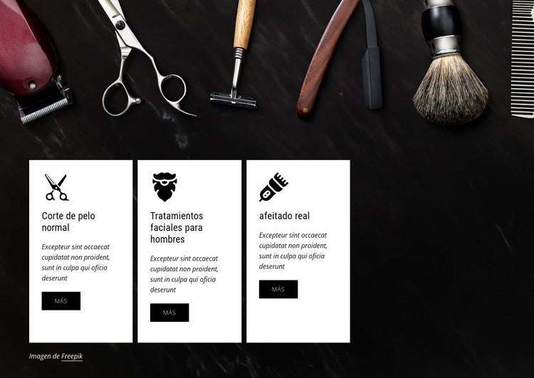 barbería profesional Diseño de páginas web