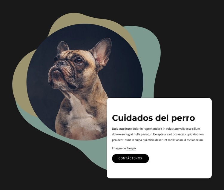 Cuidado y aseo de perros Diseño de páginas web