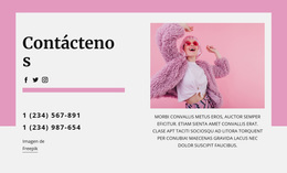 Bloque De Contacto Más Fresco - Tema De WordPress Multipropósito