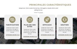 Plus De 300 Fonctionnalités De Nicepage - Conception Professionnelle Personnalisable