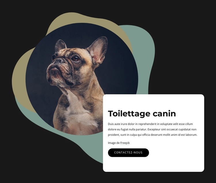 Soins et toilettage de chiens Maquette de site Web