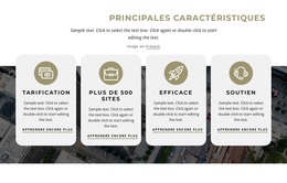 Plus De 300 Fonctionnalités De Nicepage – Modèle De Site Web HTML