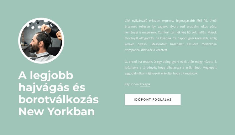 A legjobb hajvágás és borotválkozás HTML Sablon