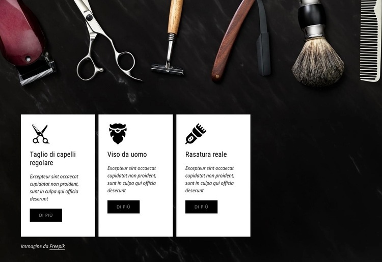 Barbiere professionista Modelli di Website Builder