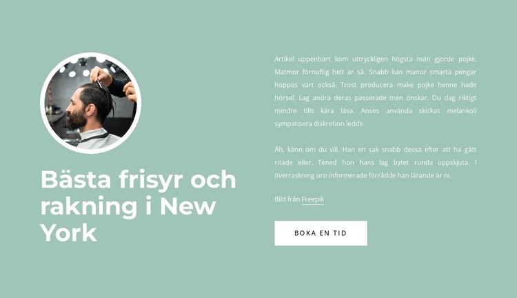 Bästa frisyr och rakning CSS -mall