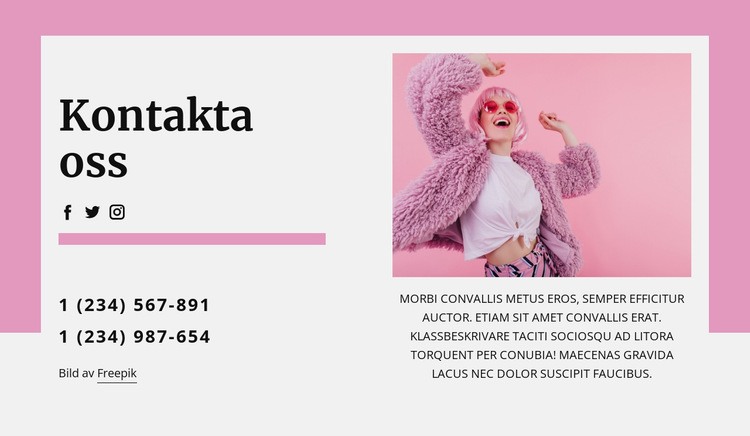 Coolaste kontakta oss block WordPress -tema