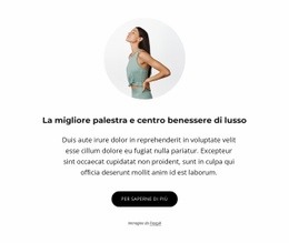 Palestra E Centro Benessere Di Lusso Modello
