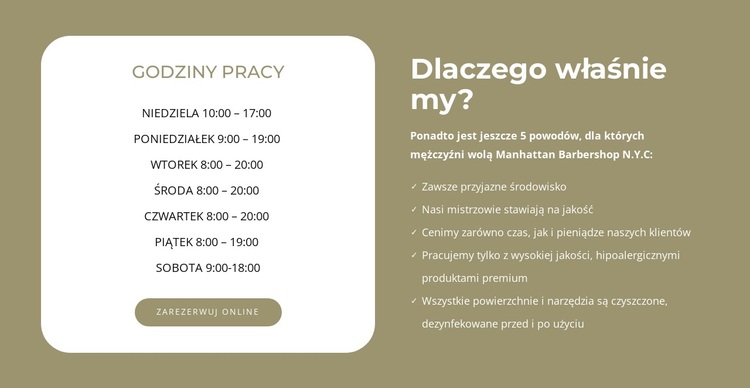 Godziny pracy salonu fryzjerskiego Motyw WordPress