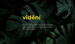 Nový Vzhled #Website-Templates-Cs-Seo-One-Item-Suffix