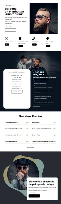 Servicios De Peluquería De Alta Calidad - Design HTML Page Online